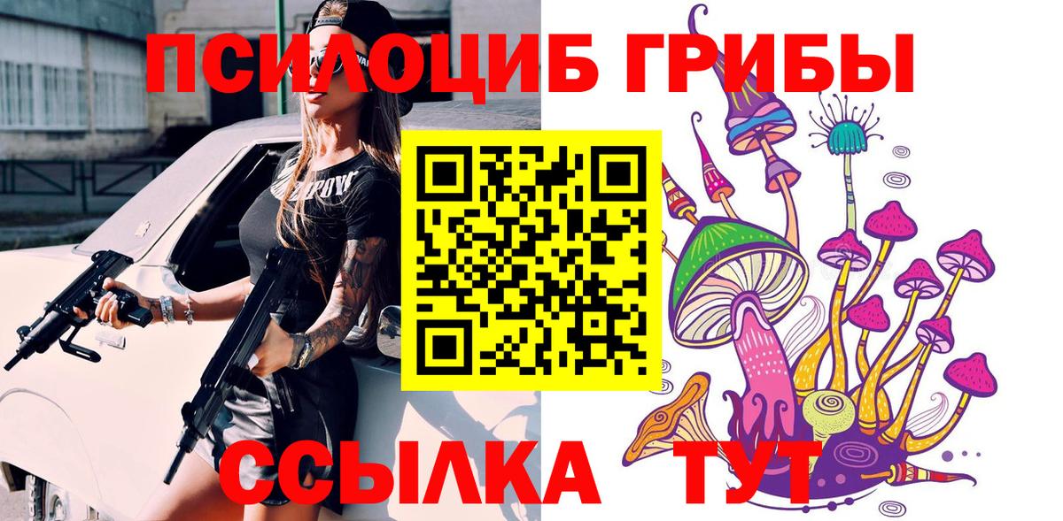 Псилоцибиновые грибы Psilocybe  Вход с VPN  Димитровград 
